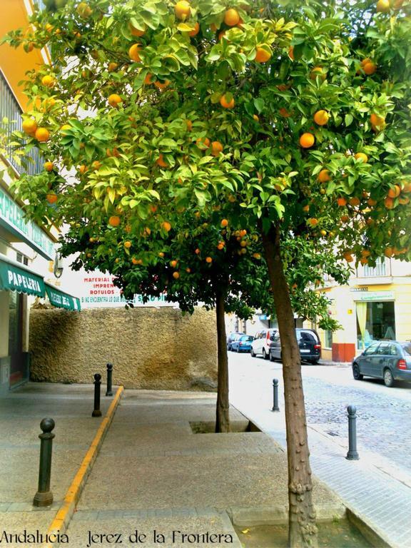 Hotel Al Andalus Jerez Jerez de la Frontera Esterno foto